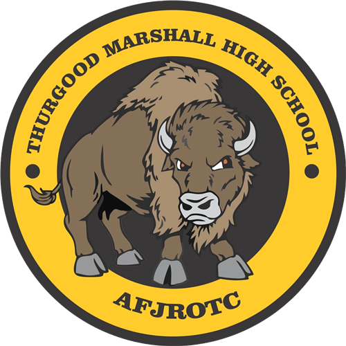 AFJROTC
